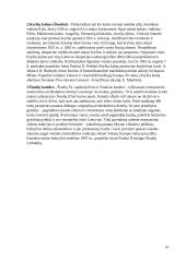 Piligrimystė Lietuvoje 13 puslapis