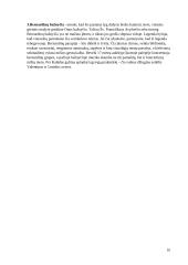 Piligrimystė Lietuvoje 9 puslapis