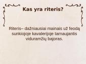 Kas yra riteris ir riteriškumas? 2 puslapis