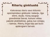 Kas yra riteris ir riteriškumas? 8 puslapis