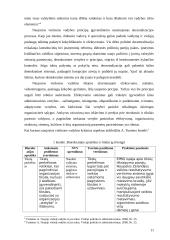 Naujosios viešosios vadybos (NVV) kritika 11 puslapis