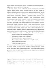 Naujosios viešosios vadybos (NVV) kritika 6 puslapis