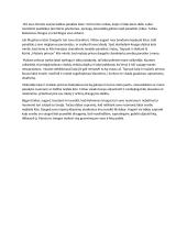 Mažasis princas. Samprotavimo rašinys