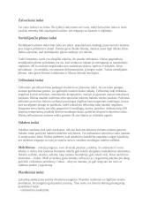 Indų tipai 2 puslapis