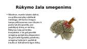 Rūkymo žala organizmui (skaidrės) 2 puslapis