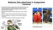 Rūkymo žala organizmui (skaidrės) 6 puslapis