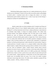 Neatsinaujinantys gamtos ištekliai 16 puslapis