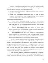 Neatsinaujinantys gamtos ištekliai 10 puslapis