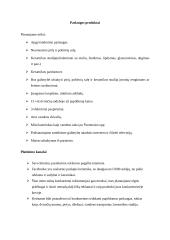 Verslo planas - kaimo turizmo sodyba 7 puslapis