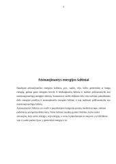 Energijos vartojimo naujovės 3 puslapis