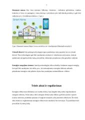 Energijos vartojimo naujovės 6 puslapis