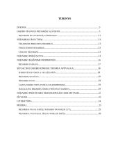 Nedarbas - viena didžiausių ekonomikos blogybių 2 puslapis