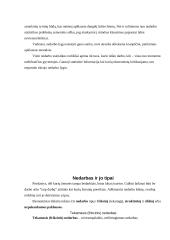 Nedarbas - viena didžiausių ekonomikos blogybių 13 puslapis