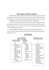 Nedarbas - viena didžiausių ekonomikos blogybių 5 puslapis
