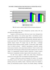 Nedarbo rūšys bei visiškas užimtumas 19 puslapis