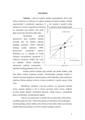 Nedarbo rūšys bei visiškas užimtumas 4 puslapis