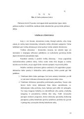 Nedarbo rūšys bei visiškas užimtumas 10 puslapis