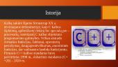 C++ kalba. Jos atsiradimas ir galimybės 2 puslapis