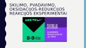 Cheminių reakcijų požymiai 12 puslapis