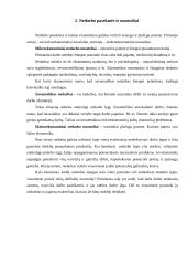 Nedarbas, nedarbo priežastys bei pasekmės 7 puslapis