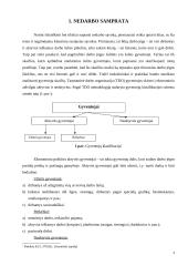 Nedarbo samprata, formos ir lygis Lietuvoje 3 puslapis