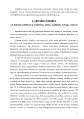 Nedarbo samprata, formos ir lygis Lietuvoje 6 puslapis