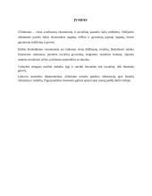 Užimtumas ir nedarbas Lietuvoje 2 puslapis