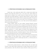 Užimtumas ir nedarbas Lietuvoje 3 puslapis