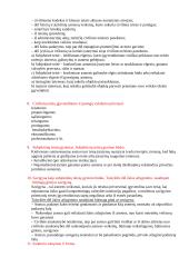 Civilinė teisė, jos reguliavimo metodai. Civilinių teisių objektų rūšys 3 puslapis