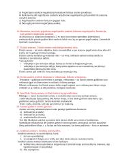 Civilinė teisė, jos reguliavimo metodai. Civilinių teisių objektų rūšys 5 puslapis