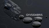 Gyvsidarbris