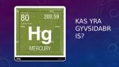Gyvsidarbris 2 puslapis