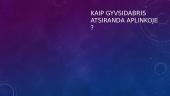 Gyvsidarbris 4 puslapis