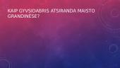 Gyvsidarbris 6 puslapis