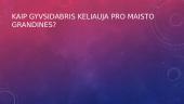 Gyvsidarbris 8 puslapis