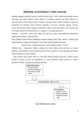 Nedarbas Lietuvoje ekonominiu požiūriu 3 puslapis