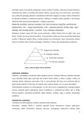 Nedarbas Lietuvoje ekonominiu požiūriu 4 puslapis