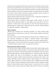 Nedarbas Lietuvoje ekonominiu požiūriu 5 puslapis