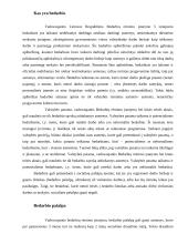 Bedarbystės Lietuvoje problema 2 puslapis