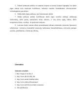 Bedarbystės Lietuvoje problema 11 puslapis