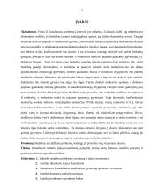 Nedarbo įtaka Lietuvos visuomenei 3 puslapis