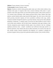 Nedarbo įtaka Lietuvos visuomenei 4 puslapis