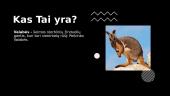 Pelkinės Valabės 2 puslapis