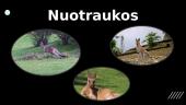 Pelkinės Valabės 5 puslapis
