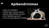 Pelkinės Valabės 6 puslapis
