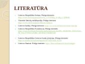 Finansai ir valstybės biudžetas 11 puslapis