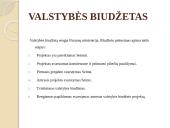 Finansai ir valstybės biudžetas 3 puslapis