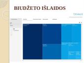 Finansai ir valstybės biudžetas 7 puslapis