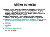 Miško tipologija (skaidrės) 2 puslapis