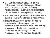 Miško tipologija (skaidrės) 11 puslapis